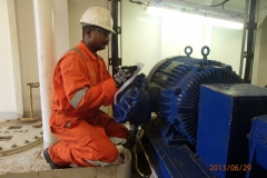 Ex Inspection
