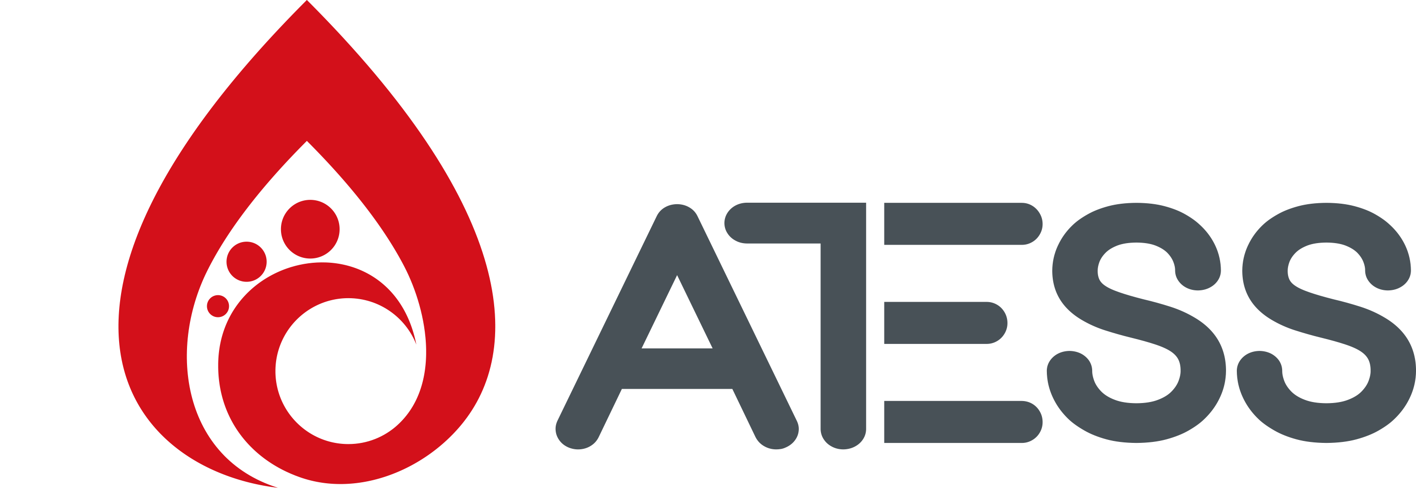 ATESS partner logo