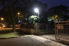 Streetlight Photo 1