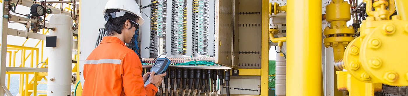 Audit & Survey Services